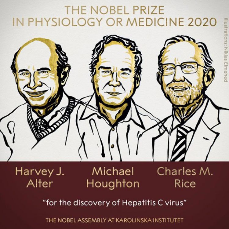 El Premio Nobel de Medicina fue otorgado a tres investigadores por los descubrimientos del virus de la hepatitis C